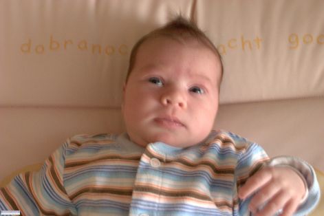 crw_9353.jpg